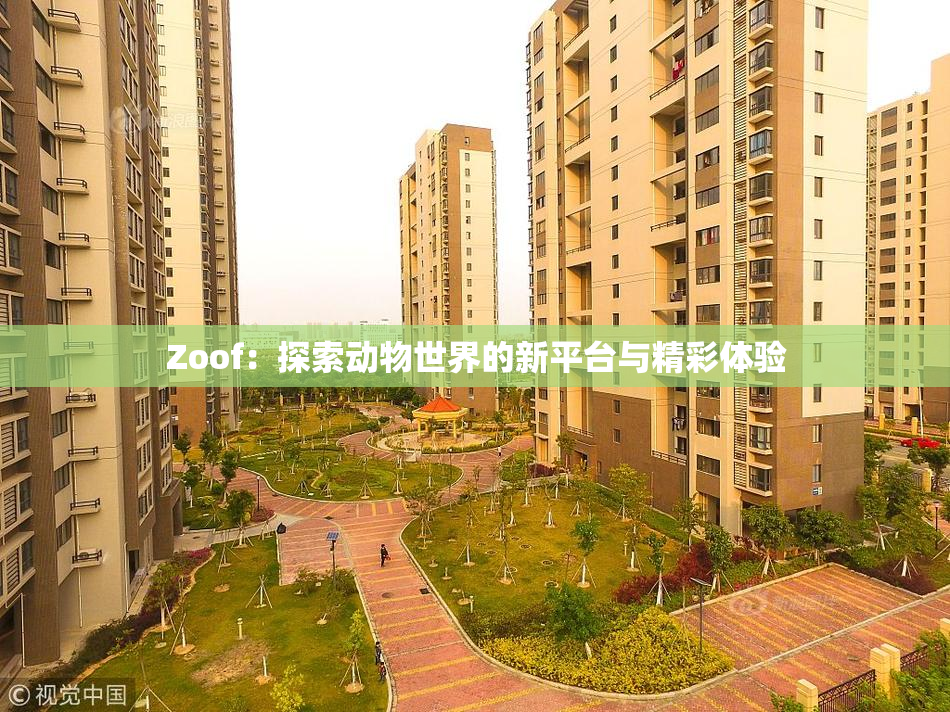 Zoof：探索动物世界的新平台与精彩体验
