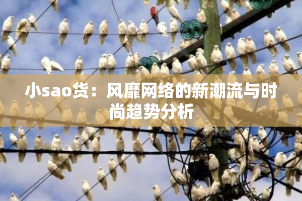 小sao货：风靡网络的新潮流与时尚趋势分析