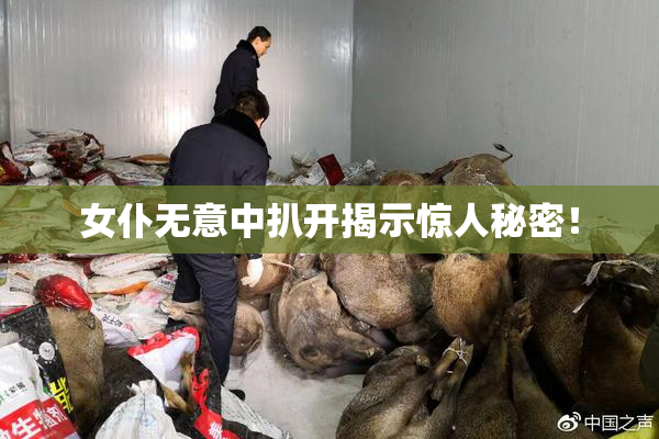 女仆无意中扒开揭示惊人秘密！