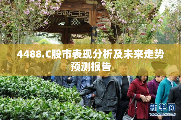 4488.C股市表现分析及未来走势预测报告