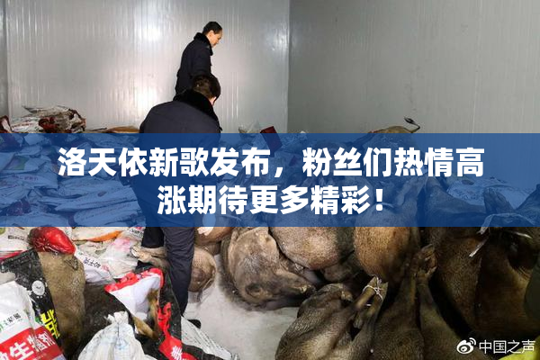 洛天依新歌发布，粉丝们热情高涨期待更多精彩！