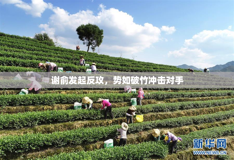 谢俞发起反攻，势如破竹冲击对手