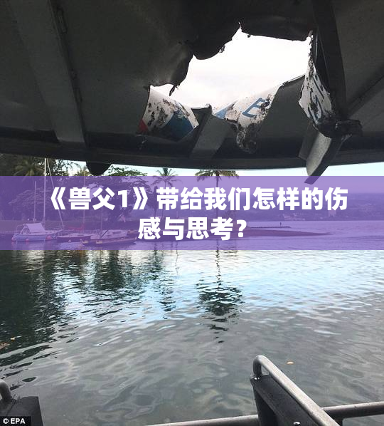 《兽父1》带给我们怎样的伤感与思考？