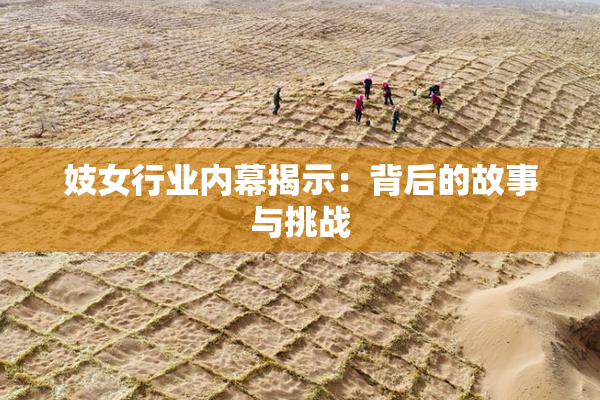 妓女行业内幕揭示：背后的故事与挑战