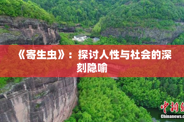 《寄生虫》：探讨人性与社会的深刻隐喻