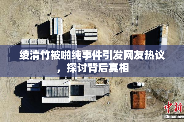 绫清竹被啪纯事件引发网友热议，探讨背后真相