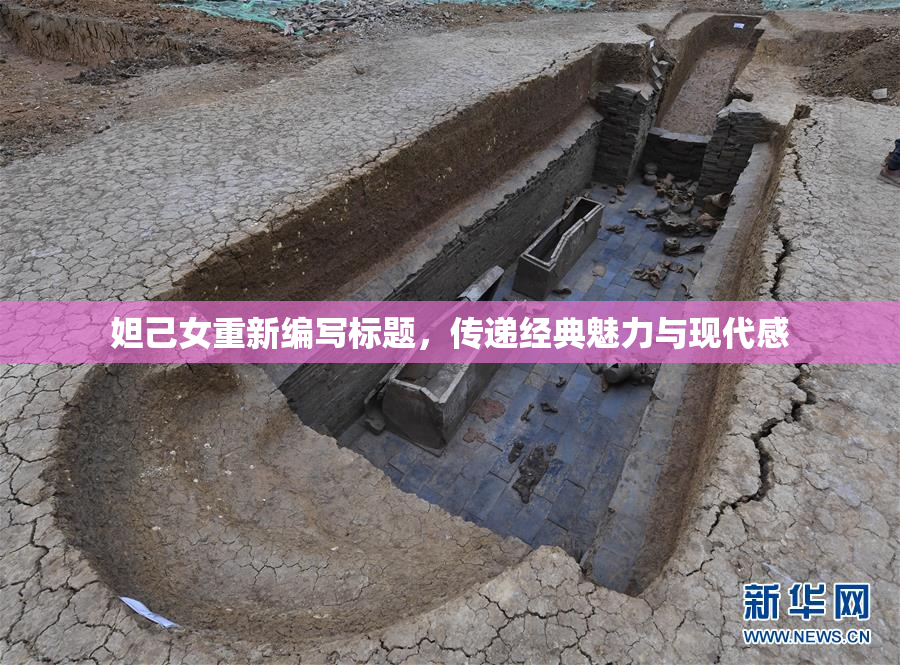 妲己女重新编写标题，传递经典魅力与现代感