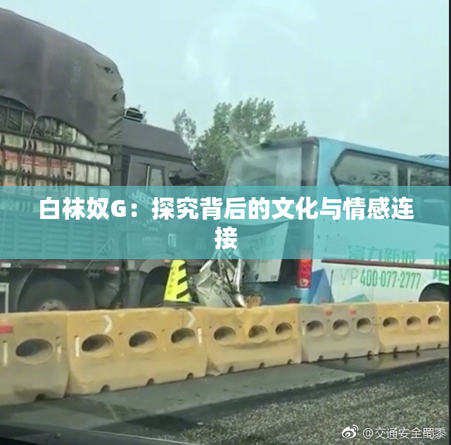 白袜奴G：探究背后的文化与情感连接