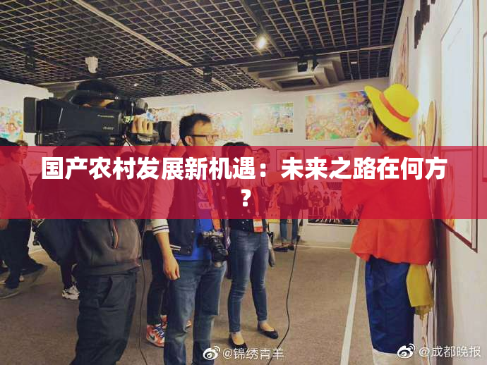 国产农村发展新机遇：未来之路在何方？