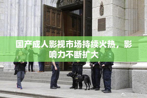 国产成人影视市场持续火热，影响力不断扩大