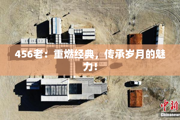 456老：重燃经典，传承岁月的魅力！
