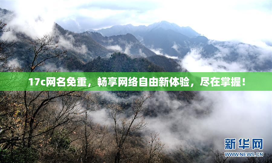 17c网名免重，畅享网络自由新体验，尽在掌握！
