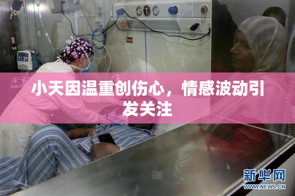 小天因温重创伤心，情感波动引发关注