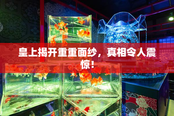 皇上揭开重重面纱，真相令人震惊！