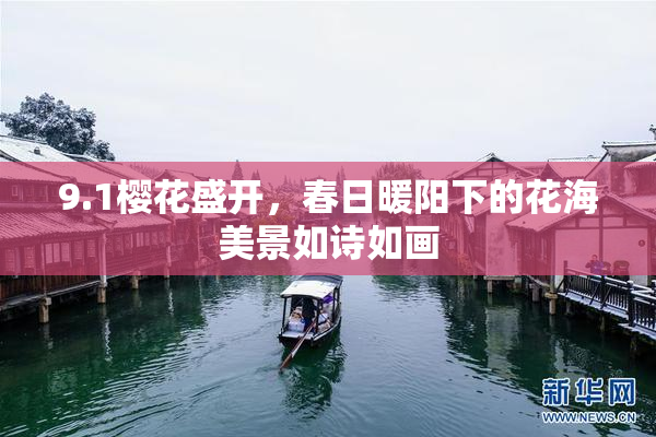 9.1樱花盛开，春日暖阳下的花海美景如诗如画