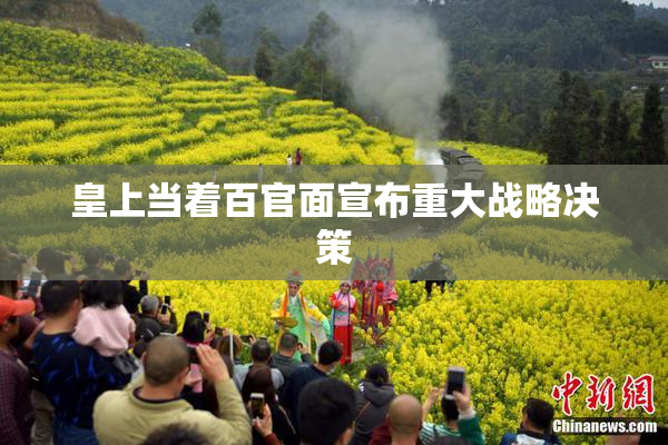 皇上当着百官面宣布重大战略决策
