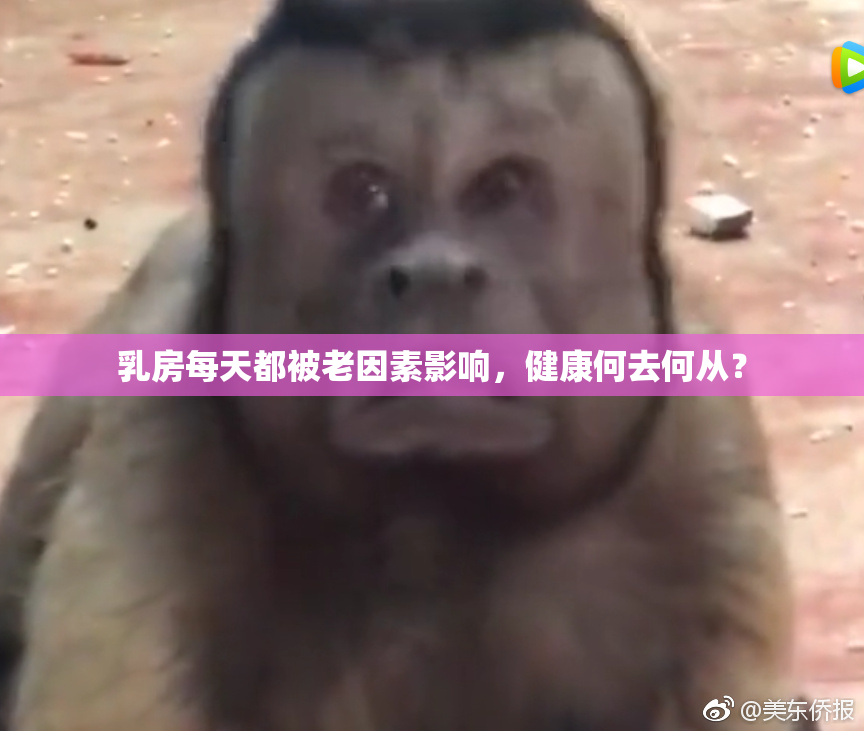 乳房每天都被老因素影响，健康何去何从？
