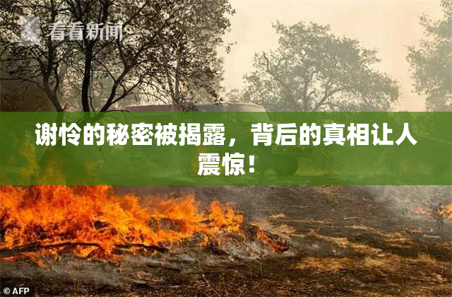 谢怜的秘密被揭露，背后的真相让人震惊！