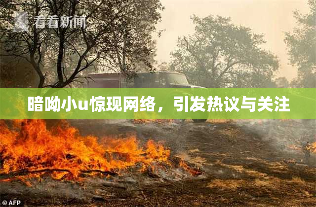 暗呦小u惊现网络，引发热议与关注