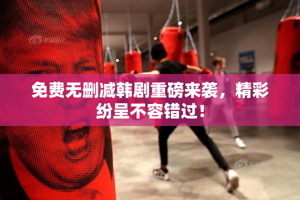 免费无删减韩剧重磅来袭，精彩纷呈不容错过！