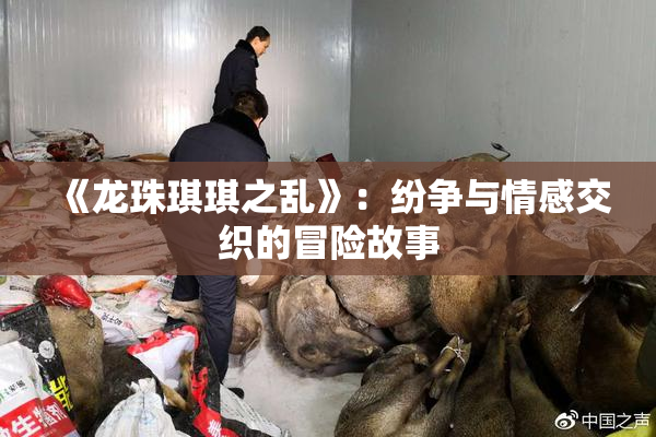 《龙珠琪琪之乱》：纷争与情感交织的冒险故事
