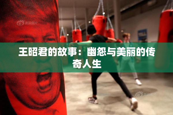 王昭君的故事：幽怨与美丽的传奇人生