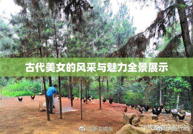 古代美女的风采与魅力全景展示