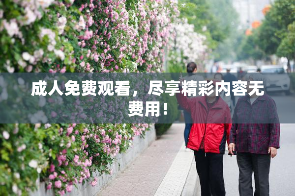 成人免费观看，尽享精彩内容无费用！