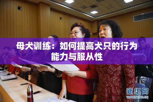 母犬训练：如何提高犬只的行为能力与服从性