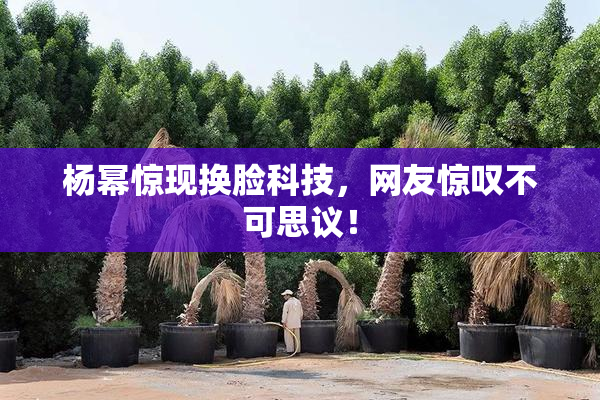 杨幂惊现换脸科技，网友惊叹不可思议！