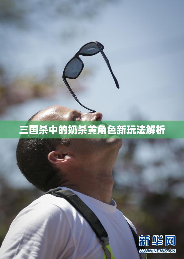 三国杀中的奶杀黄角色新玩法解析