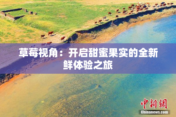 草莓视角：开启甜蜜果实的全新鲜体验之旅