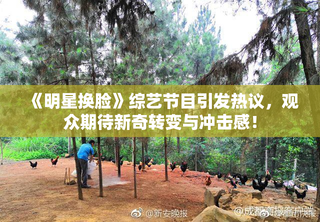 《明星换脸》综艺节目引发热议，观众期待新奇转变与冲击感！
