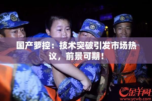 国产萝控：技术突破引发市场热议，前景可期！