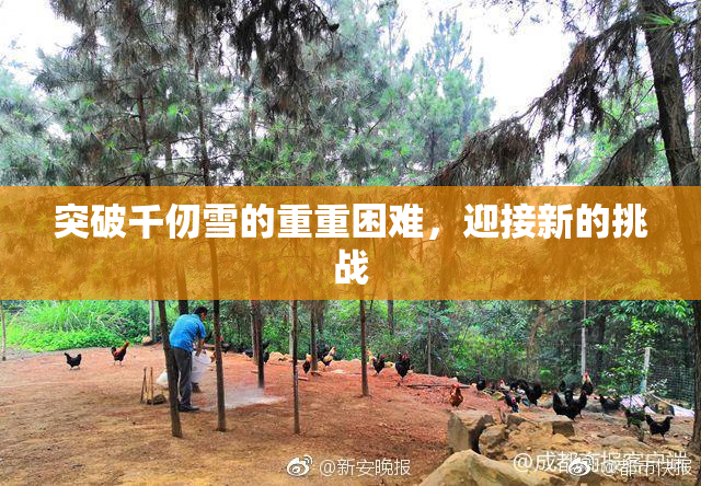 突破千仞雪的重重困难，迎接新的挑战