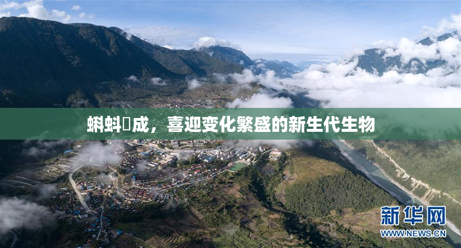蝌蚪窉成，喜迎变化繁盛的新生代生物