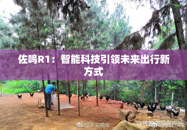 佐鸣R1：智能科技引领未来出行新方式