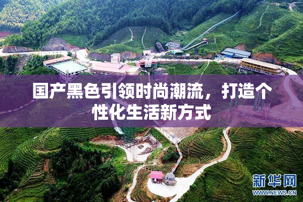 国产黑色引领时尚潮流，打造个性化生活新方式
