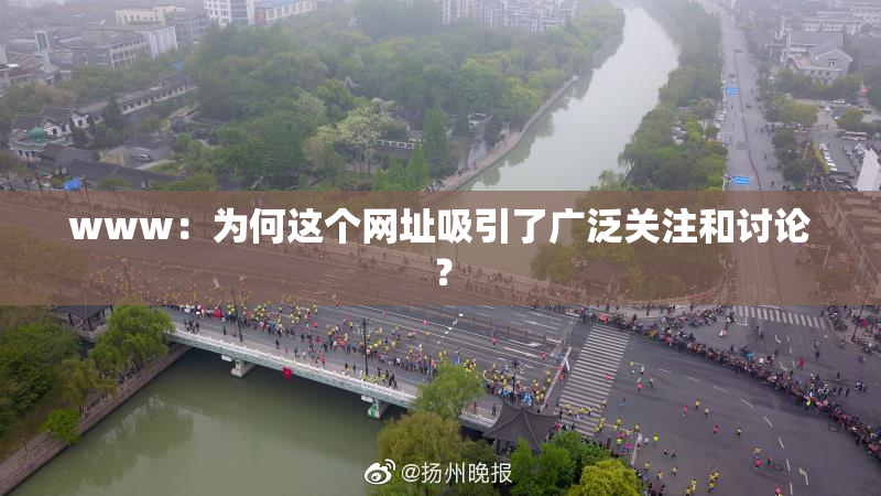 www：为何这个网址吸引了广泛关注和讨论？