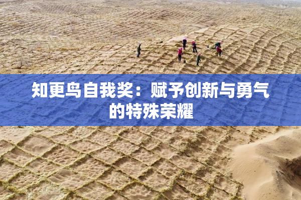 知更鸟自我奖：赋予创新与勇气的特殊荣耀