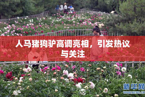 人马猪狗驴高调亮相，引发热议与关注