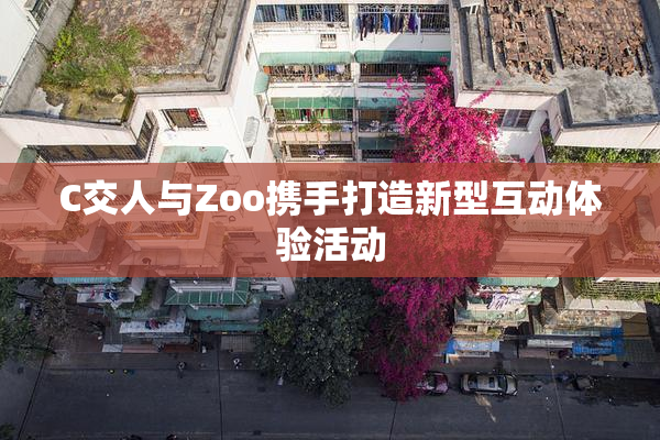 C交人与Zoo携手打造新型互动体验活动