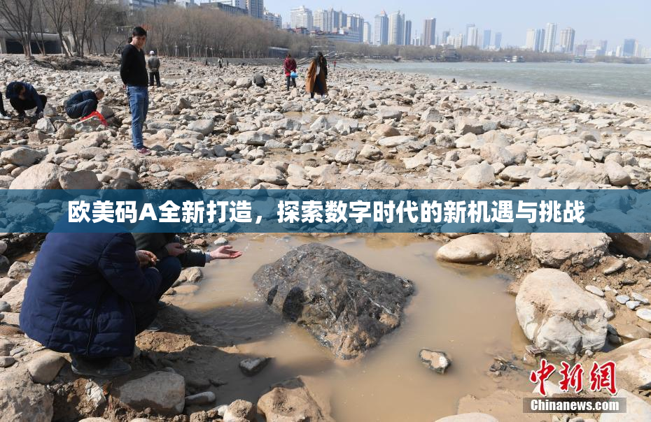 欧美码A全新打造，探索数字时代的新机遇与挑战
