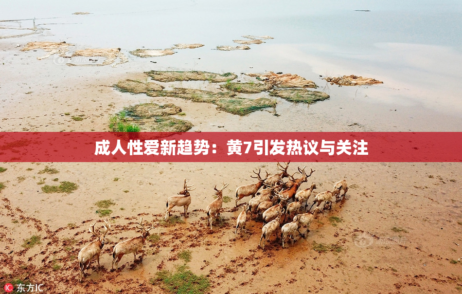 成人性爱新趋势：黄7引发热议与关注