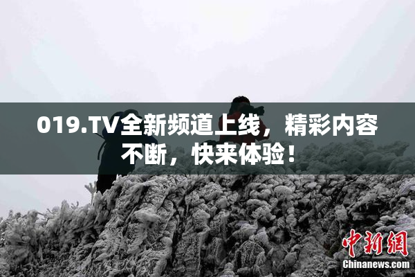 019.TV全新频道上线，精彩内容不断，快来体验！