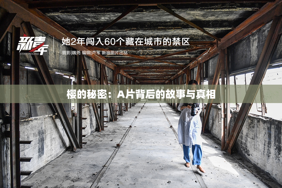 樱的秘密：A片背后的故事与真相