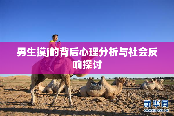 男生摸j的背后心理分析与社会反响探讨