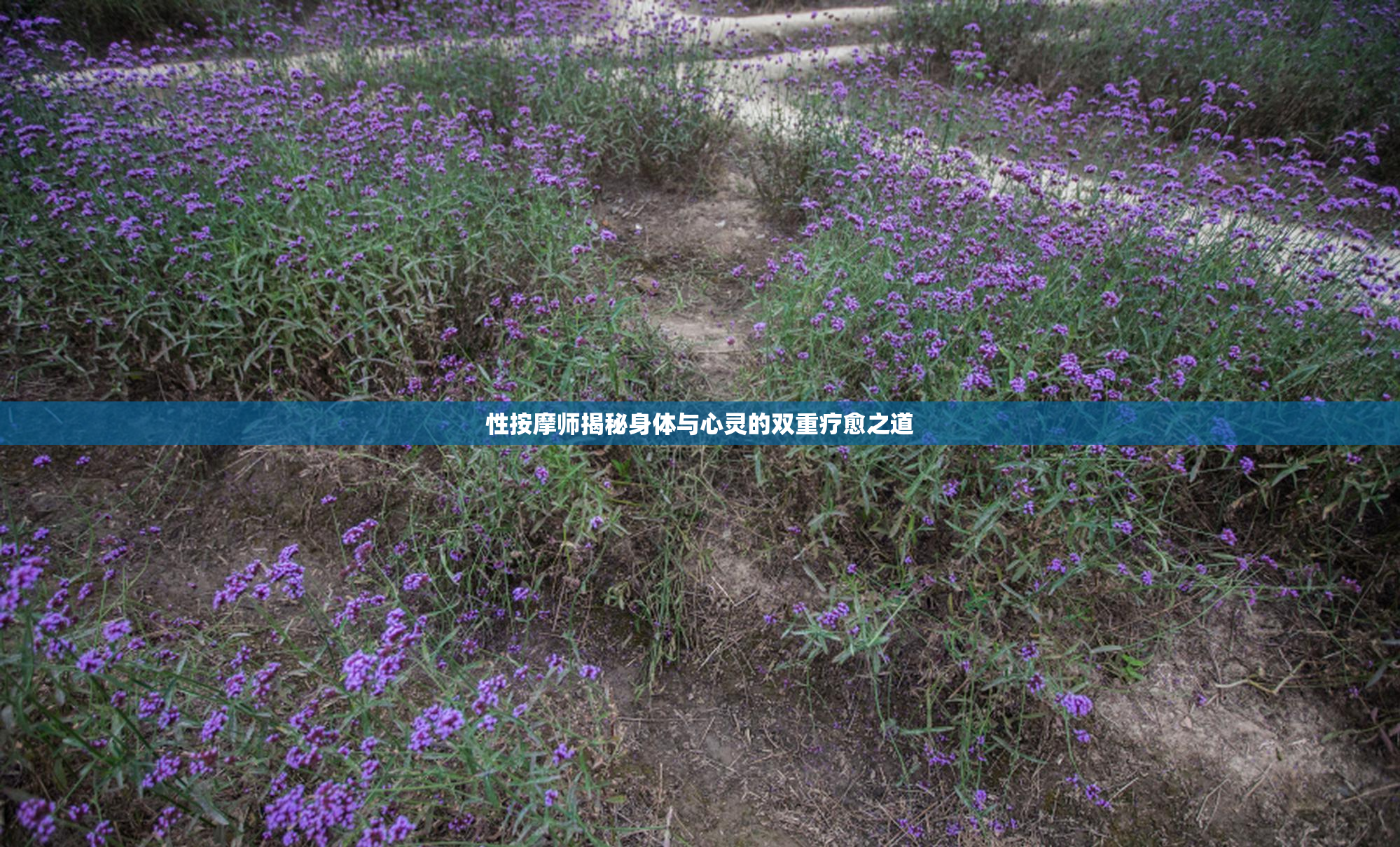 性按摩师揭秘身体与心灵的双重疗愈之道