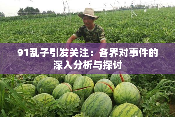 91乱子引发关注：各界对事件的深入分析与探讨