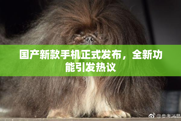 国产新款手机正式发布，全新功能引发热议